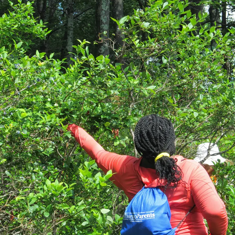 Berries & Brews Scenic Tasting Hike (July 26) 1