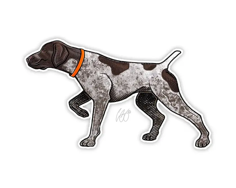Casey Underwood Artistic Vinyl Stickers For Outdoor Enthusiasts 26