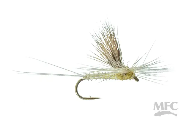 Galloup’S Tiltwing Emerger – Pale Morning Dun Pattern 1
