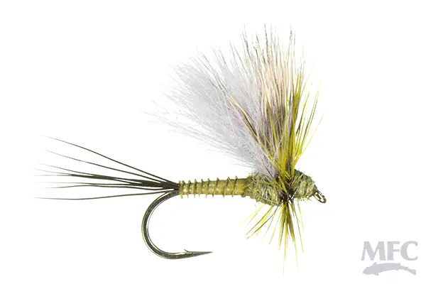 Jake’S Hatchback Bwo – Emerging Blue-Winged Olive Pattern 1
