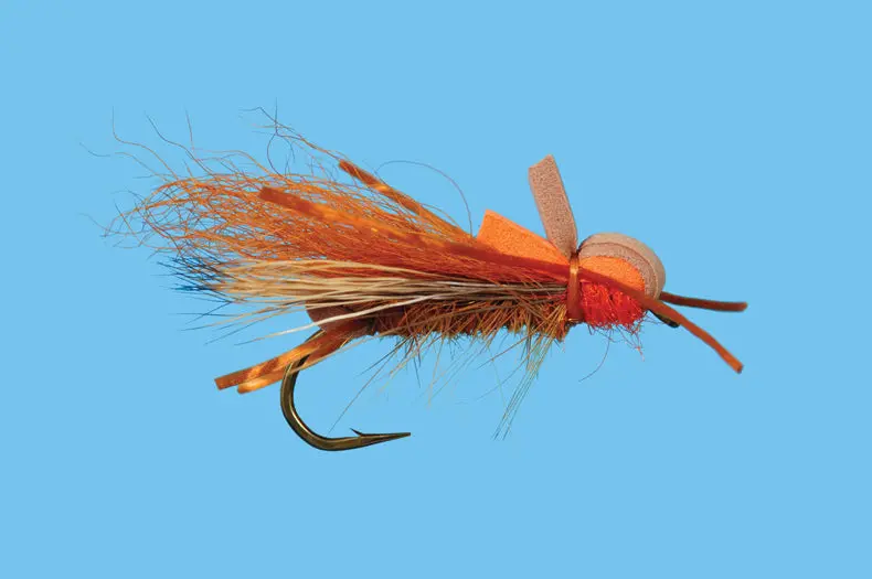 Larimer'S Golden Stone Nymph Fly 1