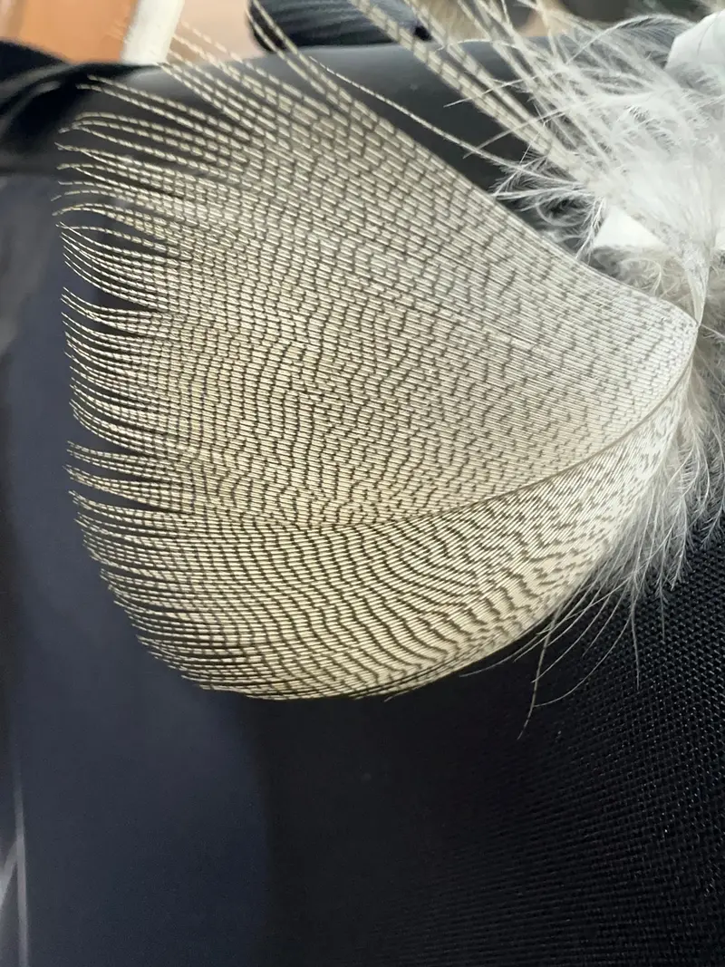 Lemon Wood Duck Flank Feathers – Light Tan Variant 1