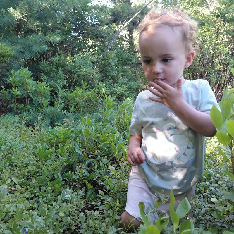 Little Explorers: Berries, Waterfalls & Wildlife (July 12) 1
