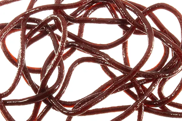 Montana Fly Company Trina’S Squirm – Realistic, Undulating Fly Tying Material 1
