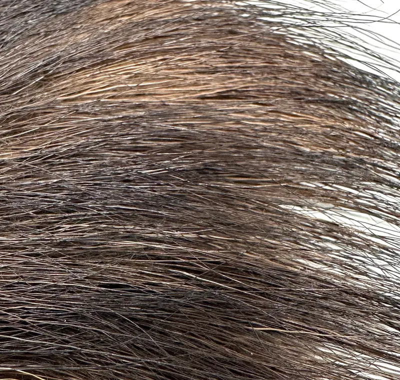 Natural Moose Body Hair For Streamers 1