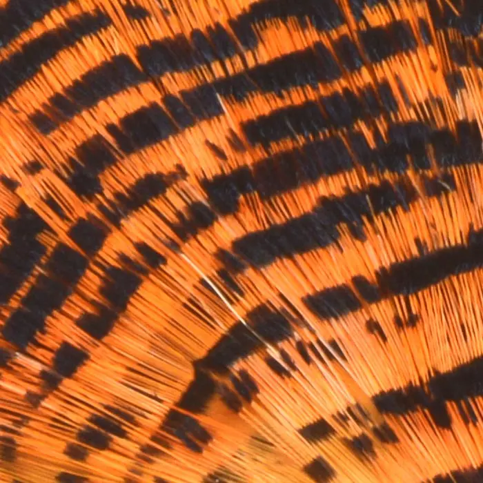 Nature'S Spirit Golden Pheasant Tippet Feathers 6