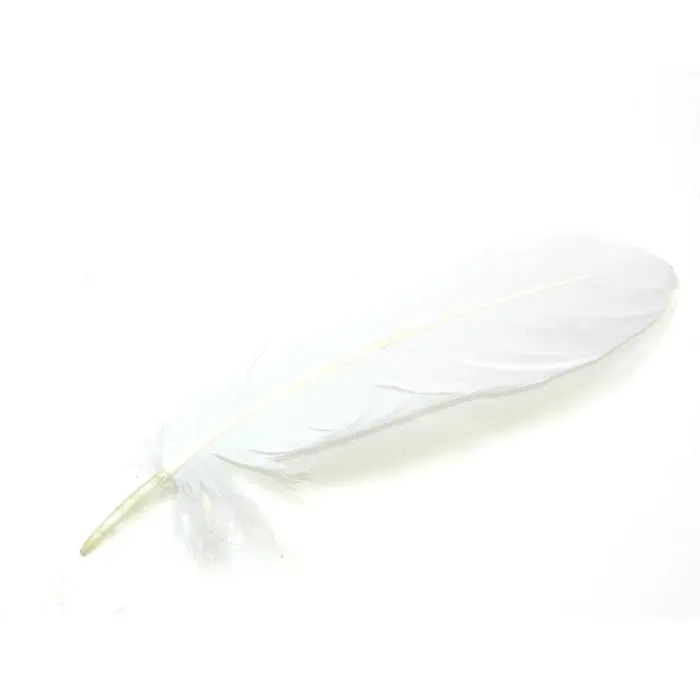 Premium Goose Shoulder Feathers 1